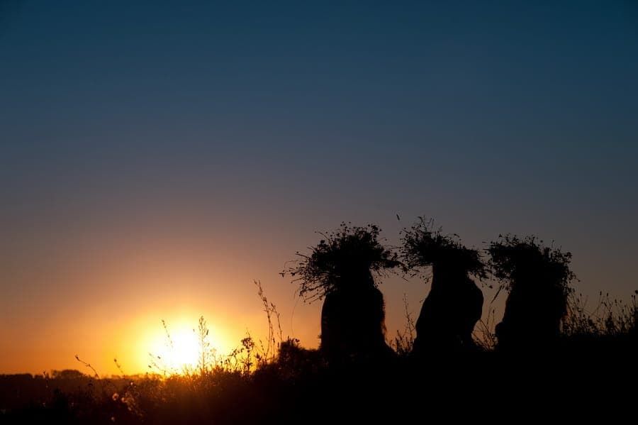 Ivan Kupala Photoshoot: An Exclusive Photo Project. photographer Dimas Frolov. photo142