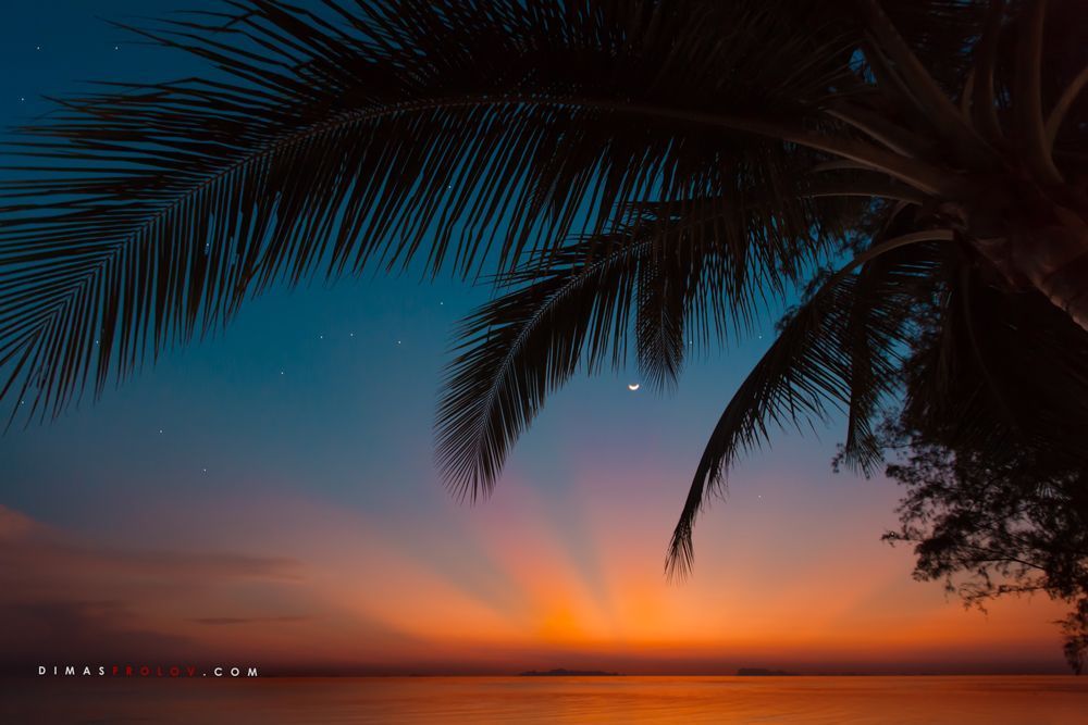 Tropical beach with a silhouette of palm trees at sunset, with colorful reflections on the water