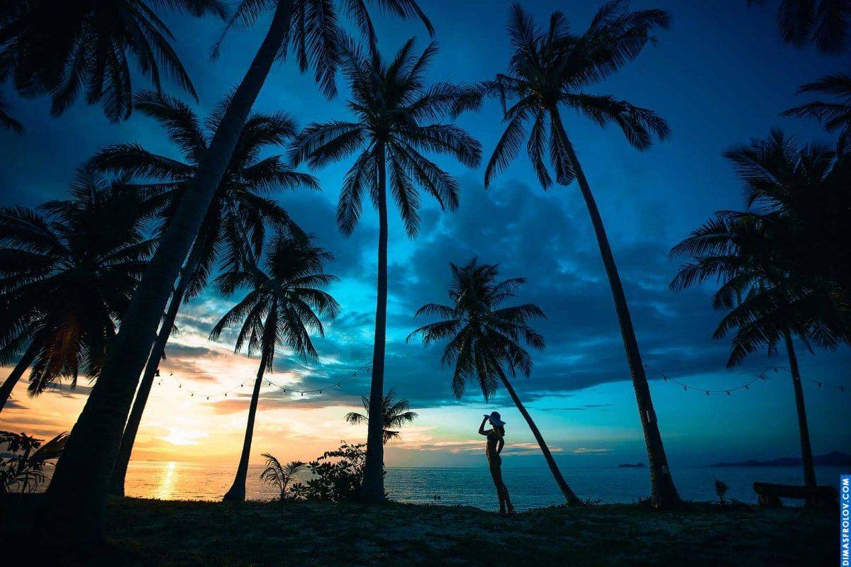 ภาพถ่ายเงาของหญิงสาวบนชายหาดเมืองร้อนในยามพระอาทิตย์ตกกับต้นปาล์มสูง
