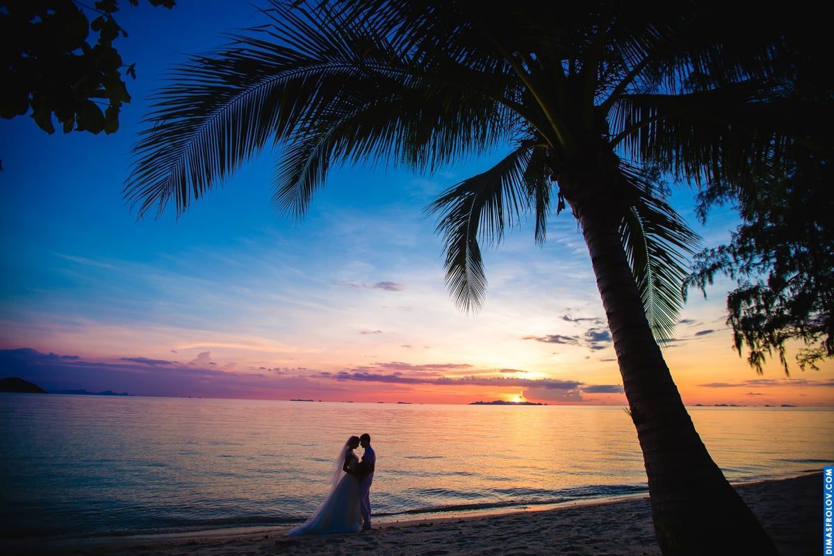 Sunset kiss on the beach framed by palm — romantic wedding photoshoot moment