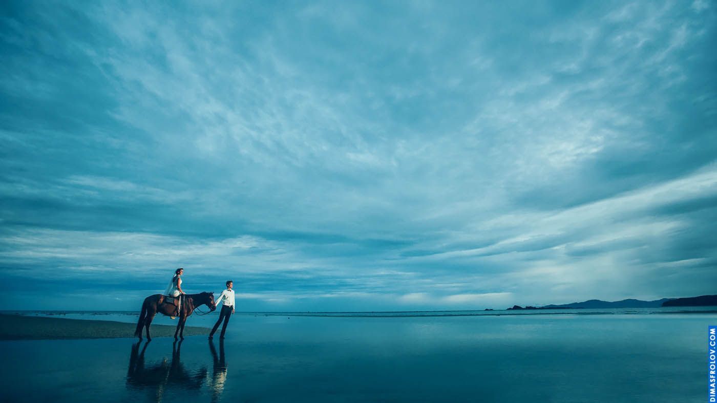 Wedding couple walking with horse on reflective shore — poetic and surreal moment