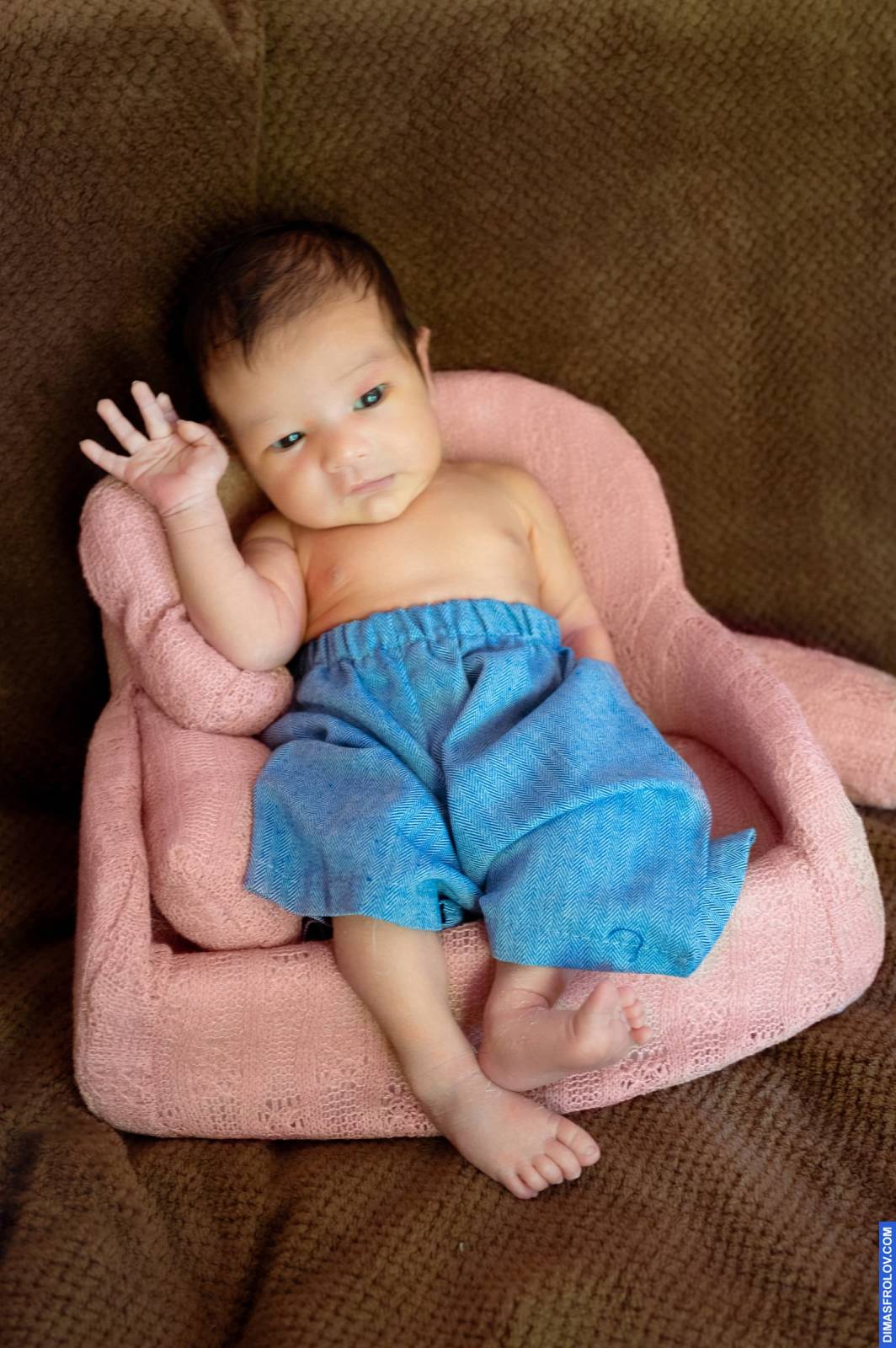 maternity Baby August. บาทต่อภาพ 114132 (2023-05-03 22:14:54)