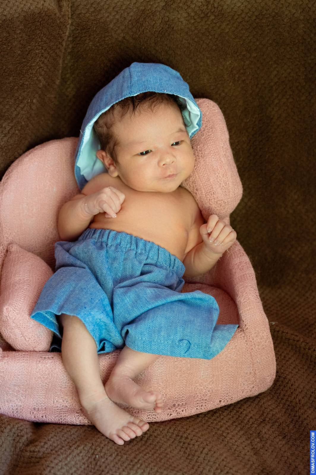 maternity Baby August. บาทต่อภาพ 114133 (2023-05-03 22:14:54)