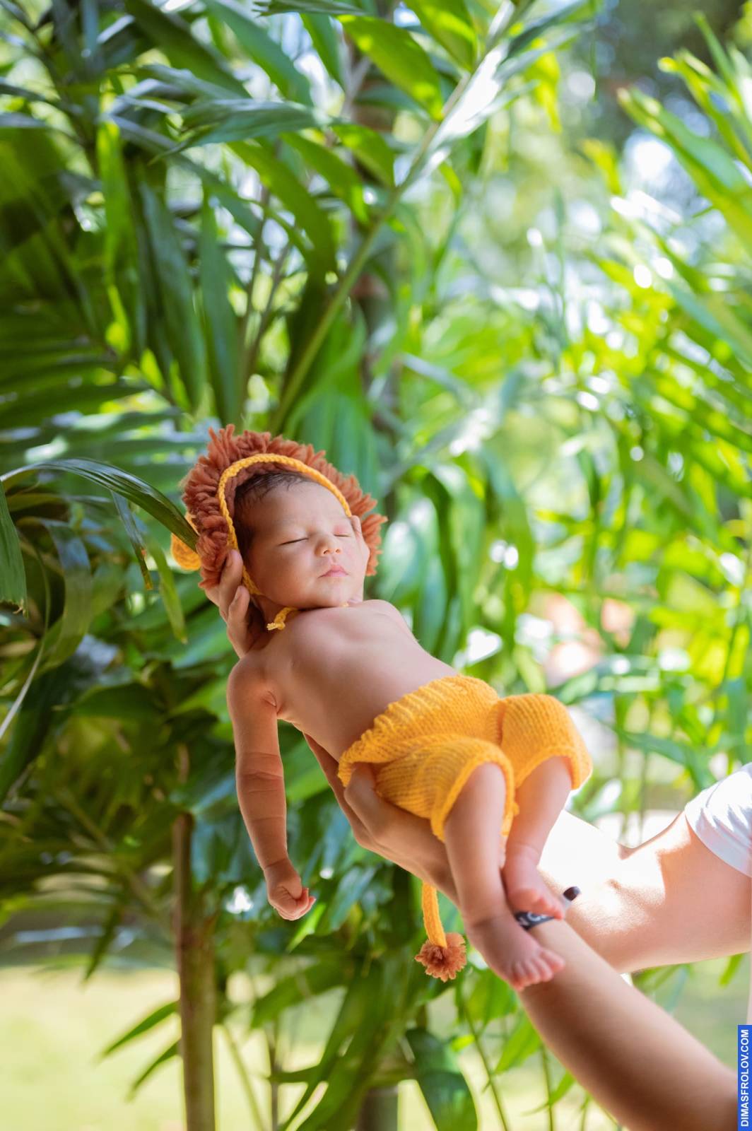 maternity Baby August. บาทต่อภาพ 114170 (2023-05-03 22:14:55)