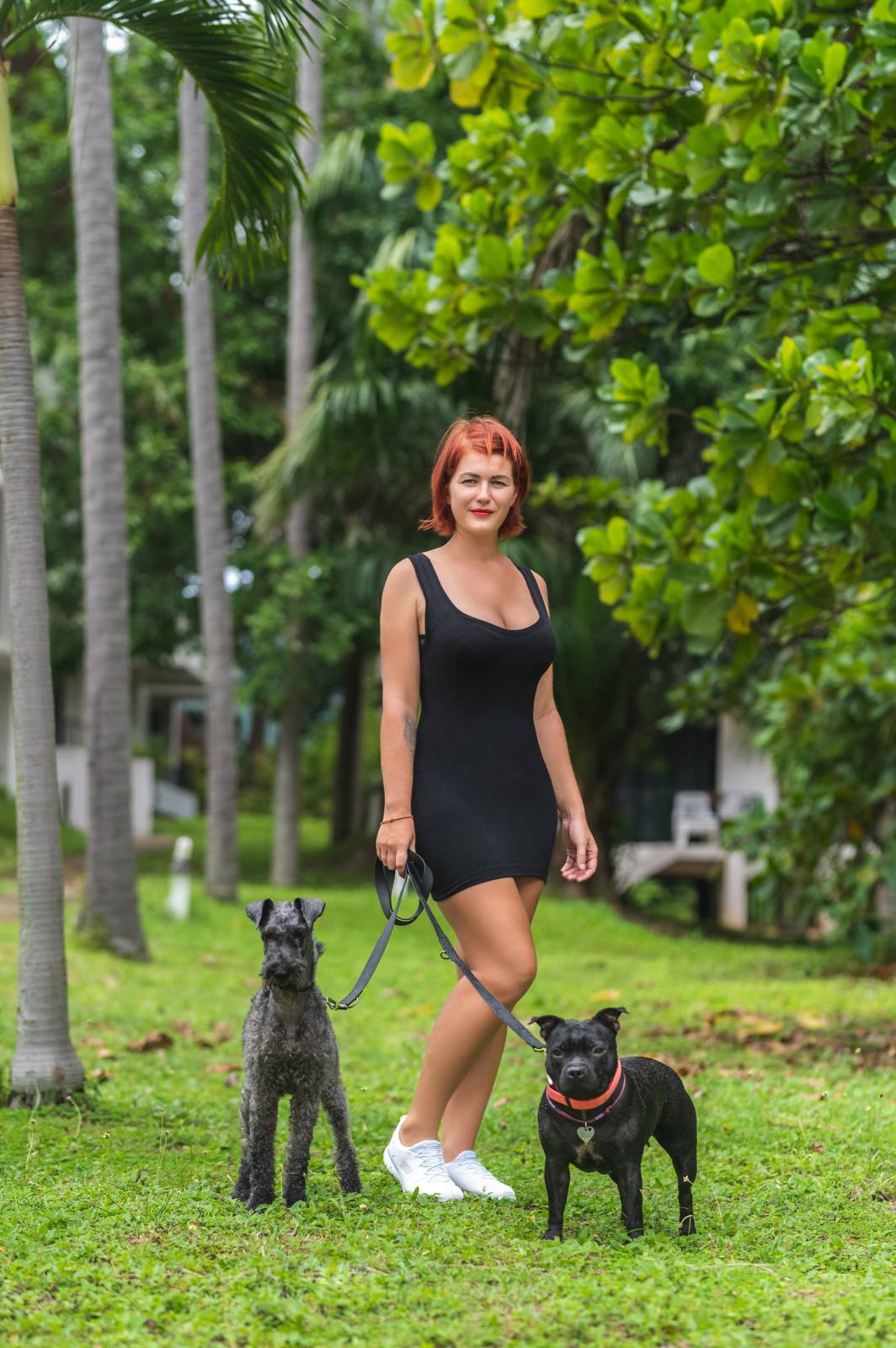 dogs Valeriia @EasyDogMe กับ Stuffy และ Kerry Blue Terrier. บาทต่อภาพ 117829 (2023-05-03 22:16:29)