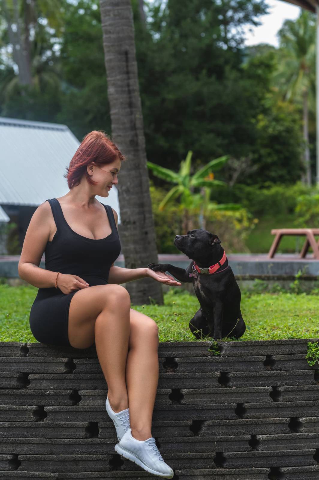 dogs Valeriia @EasyDogMe กับ Stuffy และ Kerry Blue Terrier. บาทต่อภาพ 117833 (2023-05-03 22:16:30)