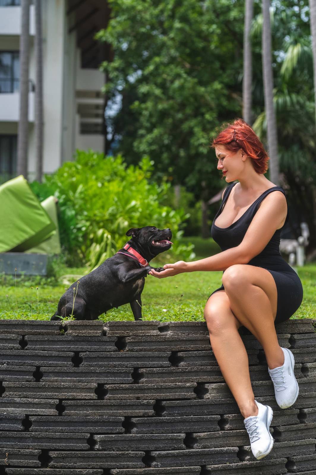 dogs Valeriia @EasyDogMe กับ Stuffy และ Kerry Blue Terrier. บาทต่อภาพ 117835 (2023-05-03 22:16:30)