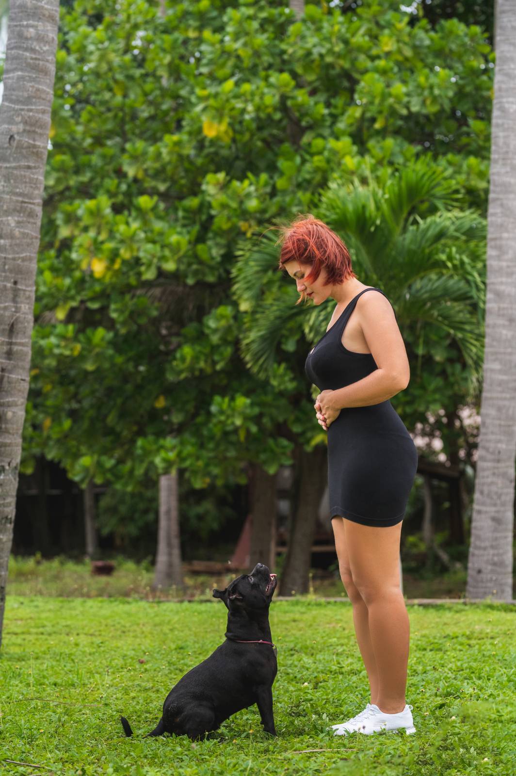 dogs Valeriia @EasyDogMe กับ Stuffy และ Kerry Blue Terrier. บาทต่อภาพ 117843 (2023-05-03 22:16:30)