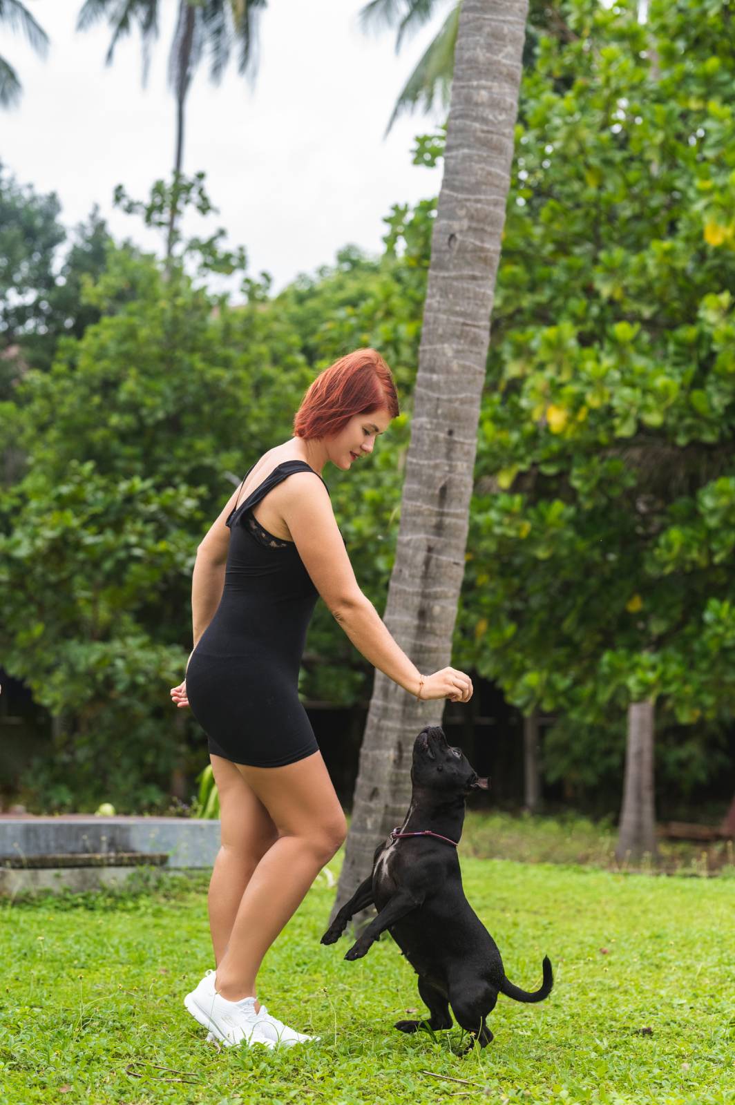 dogs Valeriia @EasyDogMe กับ Stuffy และ Kerry Blue Terrier. บาทต่อภาพ 117845 (2023-05-03 22:16:30)