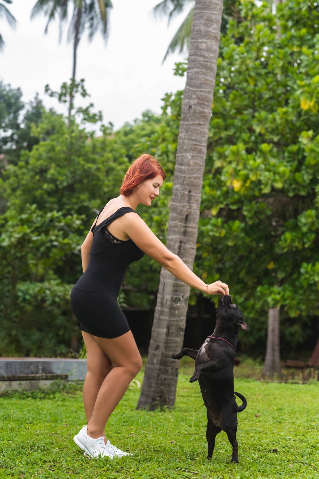 dogs Valeriia @EasyDogMe กับ Stuffy และ Kerry Blue Terrier. บาทต่อภาพ 117855 (2023-05-03 22:16:30)