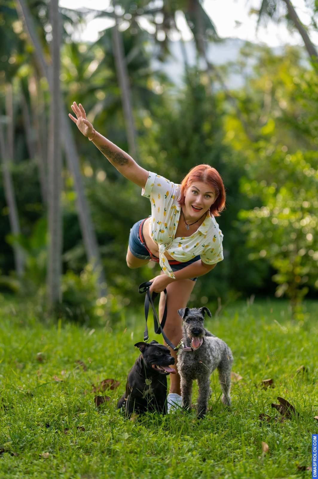 dogs Valeriia @EasyDogMe กับ Stuffy และ Kerry Blue Terrier. บาทต่อภาพ 117877 (2023-05-03 22:16:31)