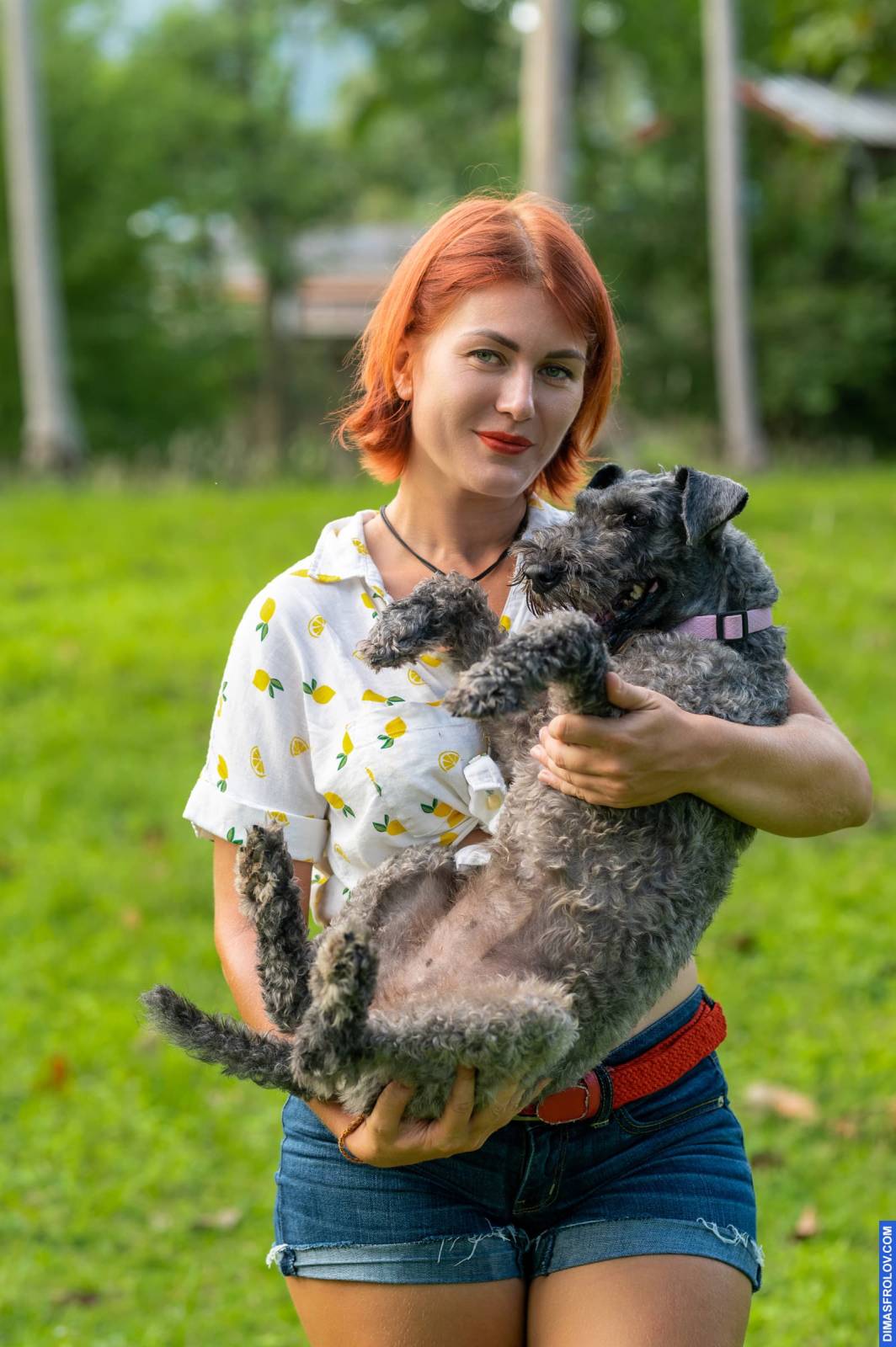 dogs Valeriia @EasyDogMe กับ Stuffy และ Kerry Blue Terrier. บาทต่อภาพ 117886 (2023-05-03 22:16:31)