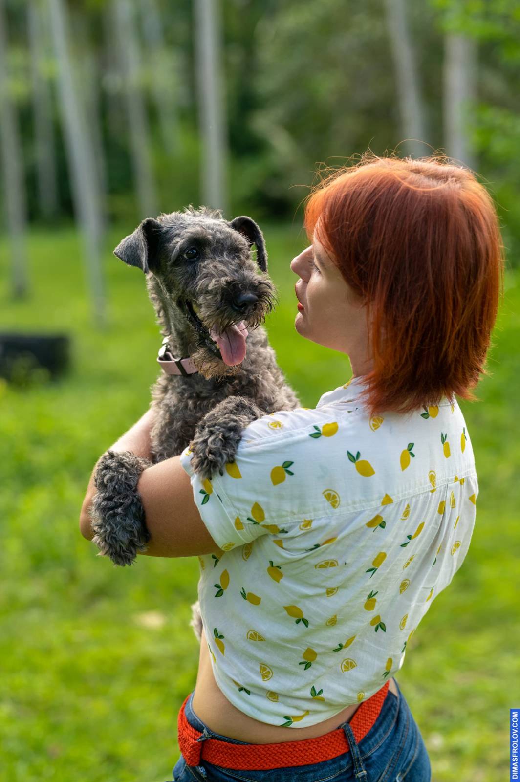 dogs Valeriia @EasyDogMe กับ Stuffy และ Kerry Blue Terrier. บาทต่อภาพ 117896 (2023-05-03 22:16:31)