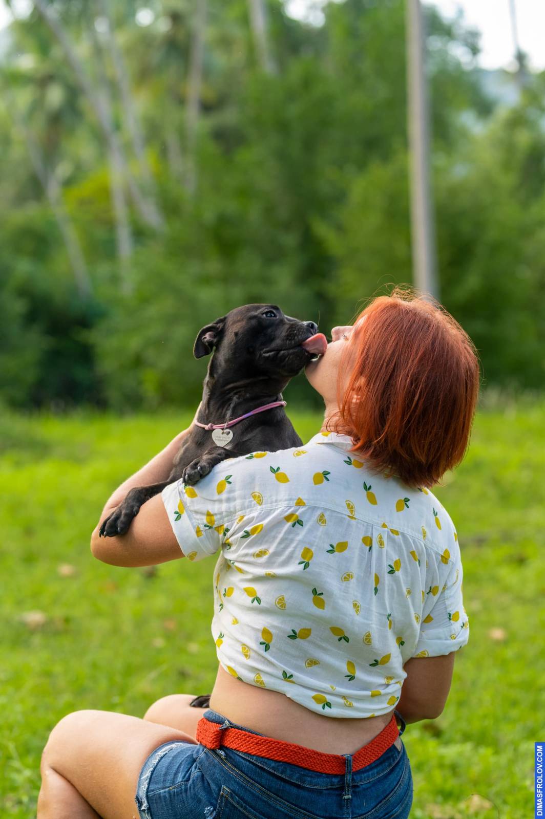 dogs Valeriia @EasyDogMe กับ Stuffy และ Kerry Blue Terrier. บาทต่อภาพ 117892 (2023-05-03 22:16:31)
