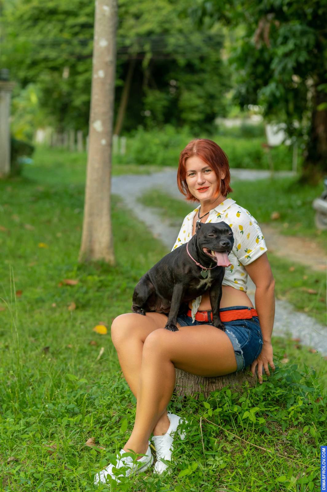 dogs Valeriia @EasyDogMe กับ Stuffy และ Kerry Blue Terrier. บาทต่อภาพ 117899 (2023-05-03 22:16:31)