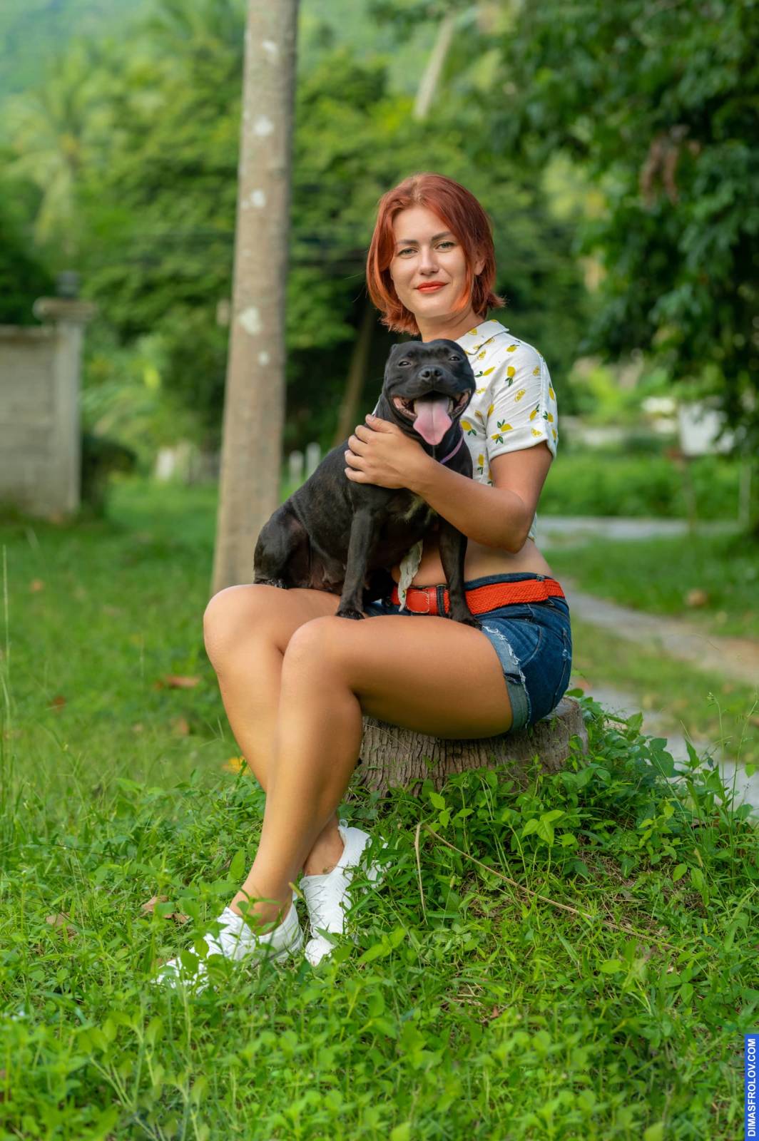 dogs Valeriia @EasyDogMe กับ Stuffy และ Kerry Blue Terrier. บาทต่อภาพ 117894 (2023-05-03 22:16:31)