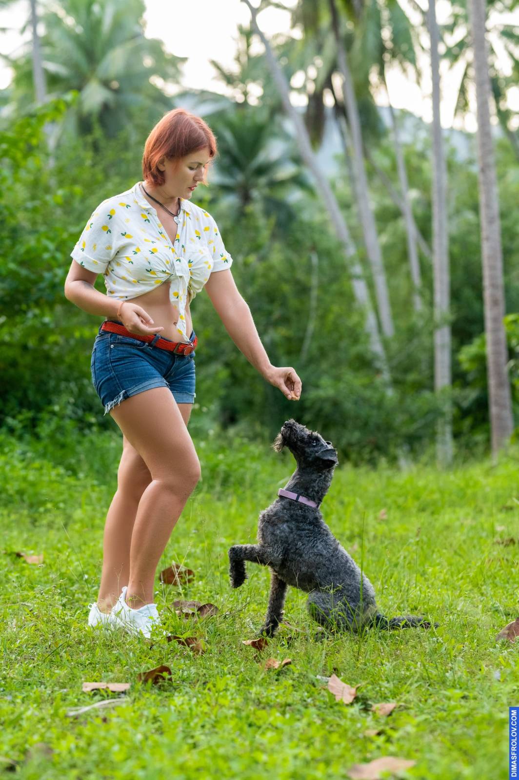 dogs Valeriia @EasyDogMe กับ Stuffy และ Kerry Blue Terrier. บาทต่อภาพ 117922 (2023-05-03 22:16:32)