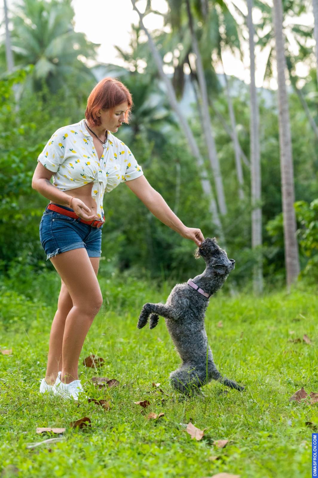 dogs Valeriia @EasyDogMe กับ Stuffy และ Kerry Blue Terrier. บาทต่อภาพ 117925 (2023-05-03 22:16:32)