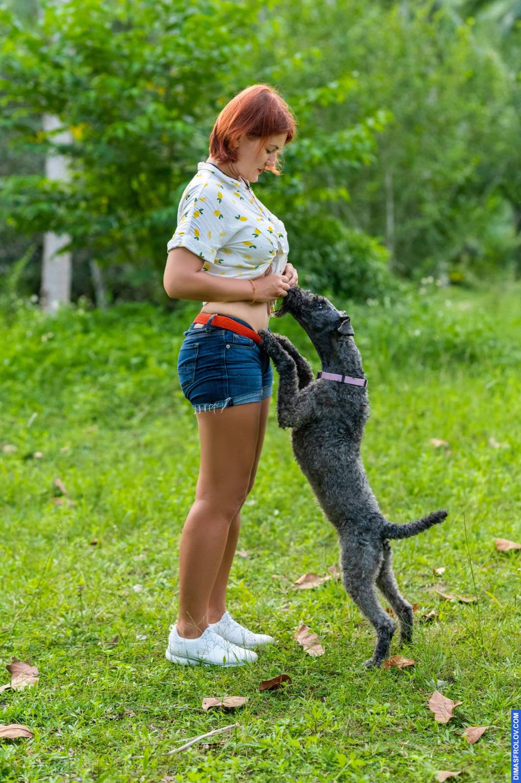 dogs Valeriia @EasyDogMe กับ Stuffy และ Kerry Blue Terrier. บาทต่อภาพ 117929 (2023-05-03 22:16:32)
