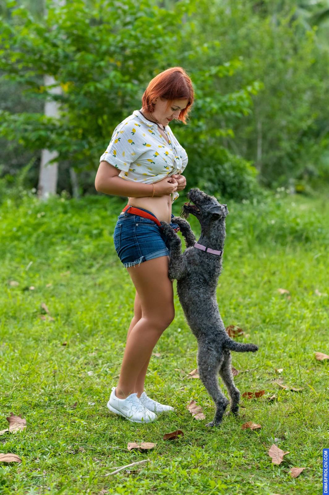 dogs Valeriia @EasyDogMe กับ Stuffy และ Kerry Blue Terrier. บาทต่อภาพ 117930 (2023-05-03 22:16:32)