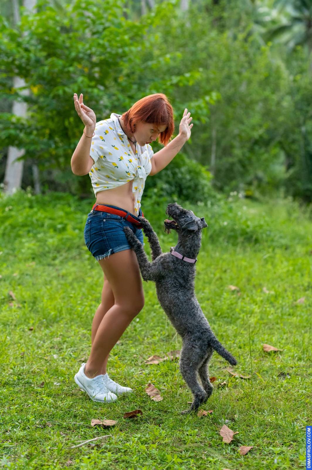 dogs Valeriia @EasyDogMe กับ Stuffy และ Kerry Blue Terrier. บาทต่อภาพ 117928 (2023-05-03 22:16:32)