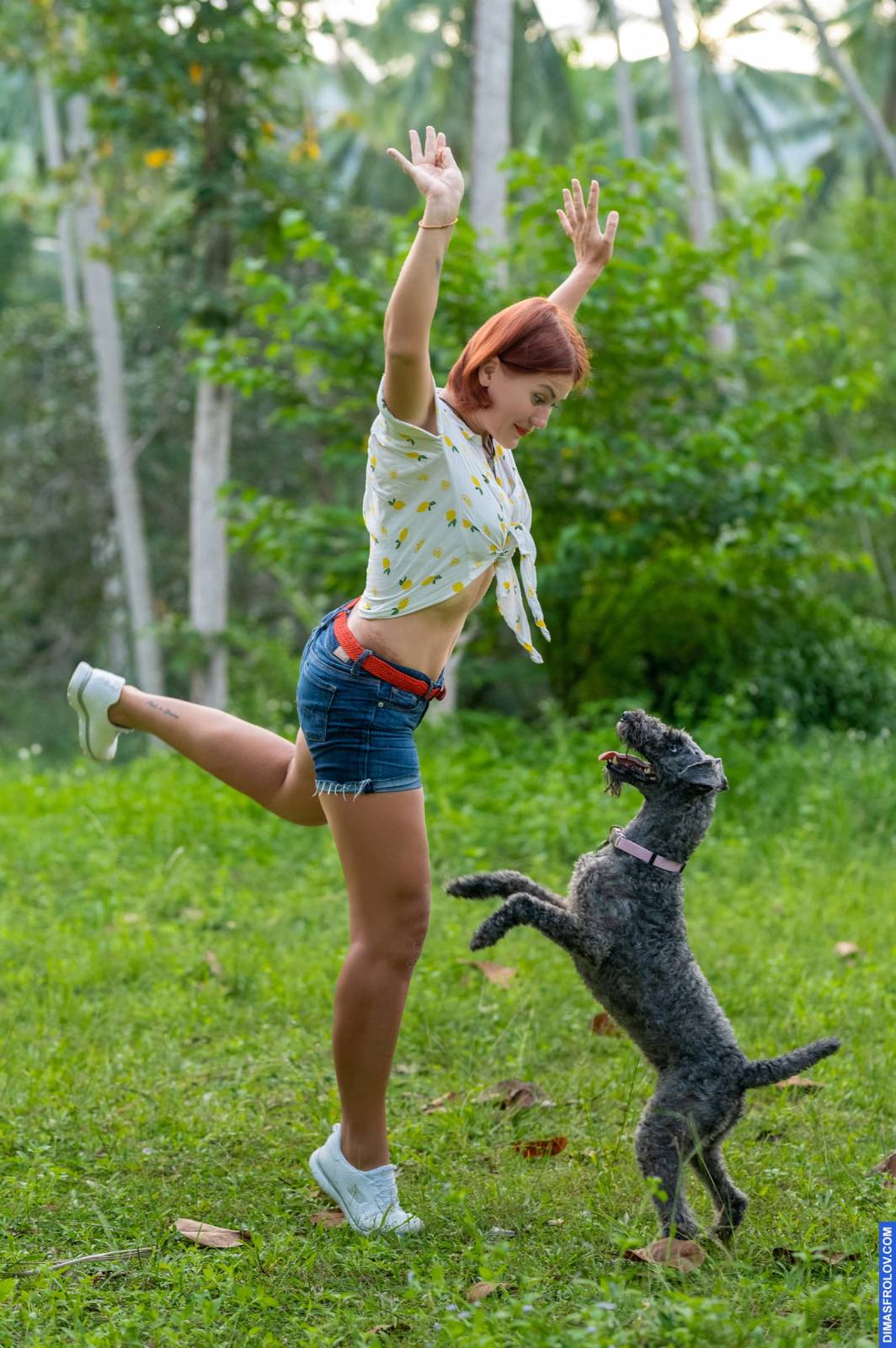 dogs Valeriia @EasyDogMe กับ Stuffy และ Kerry Blue Terrier. บาทต่อภาพ 117931 (2023-05-03 22:16:32)