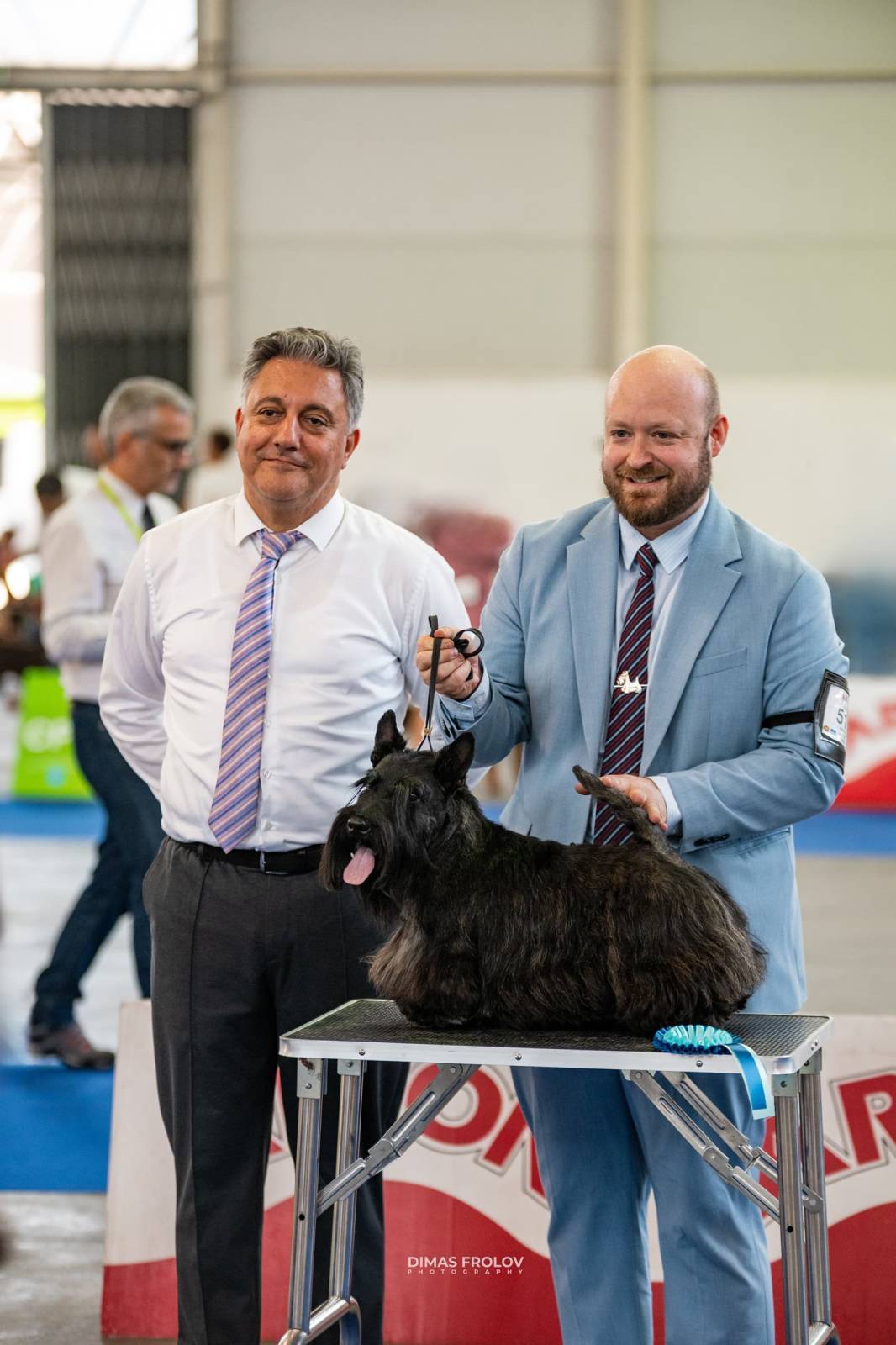 dogs Aveiro Dog Show 2025. บาทต่อภาพ 129724 (2025-07-20 13:03:05)