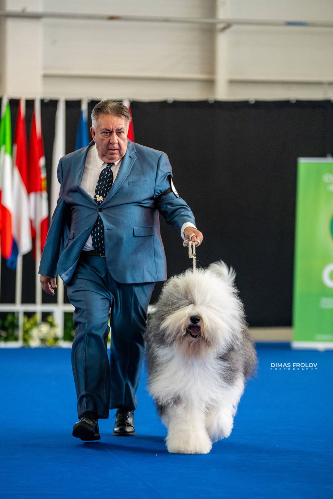 dogs Aveiro Dog Show 2025. บาทต่อภาพ 129748 (2025-07-20 13:03:06)