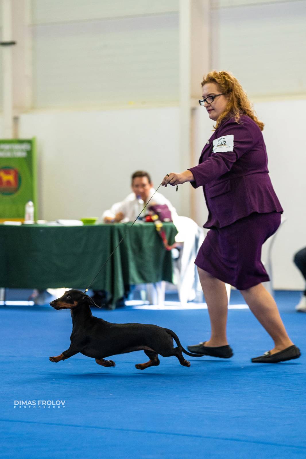 dogs Aveiro Dog Show 2025. บาทต่อภาพ 129708 (2025-07-20 13:03:04)
