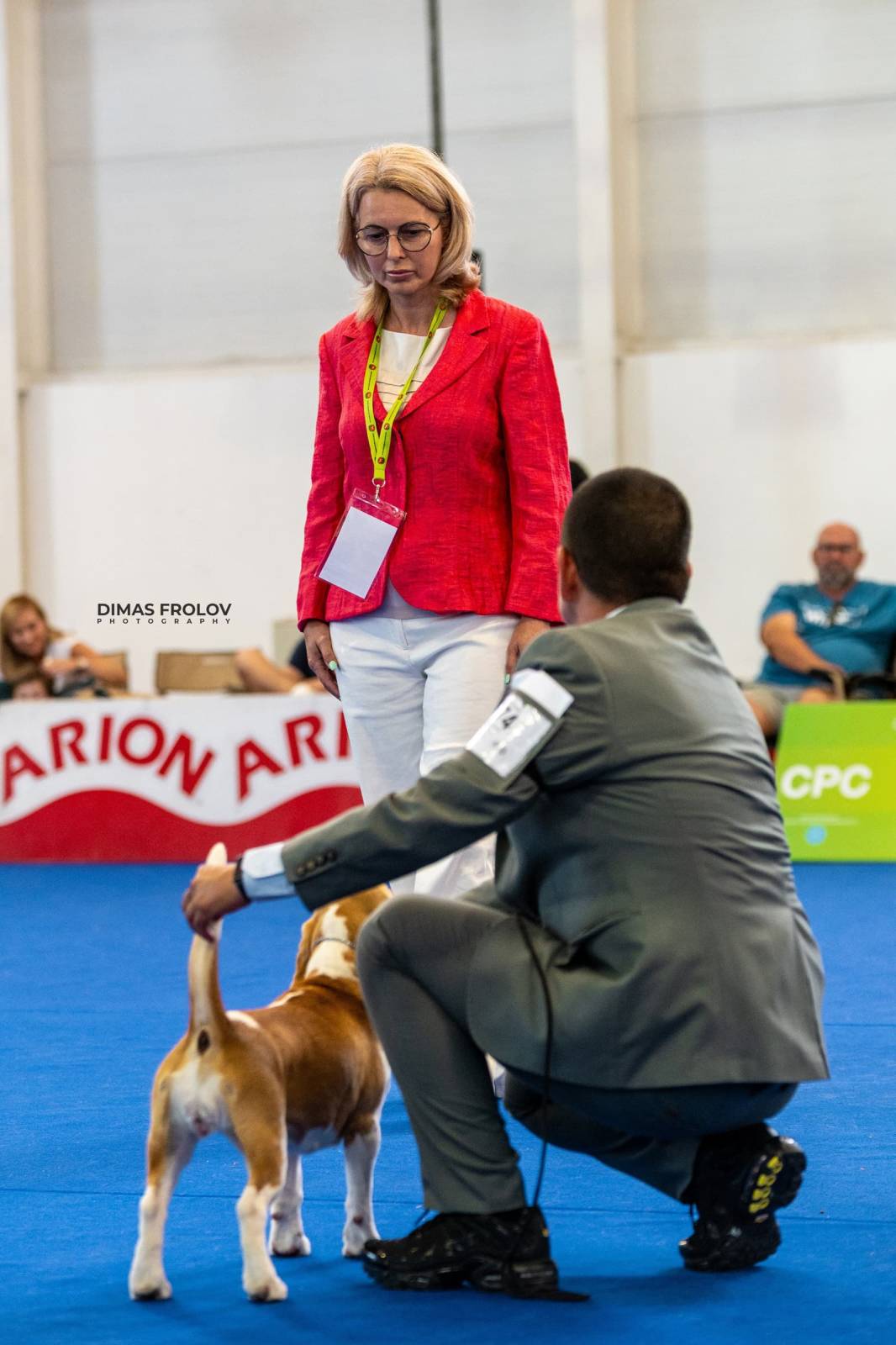 dogs Aveiro Dog Show 2025. บาทต่อภาพ 129723 (2025-07-20 13:03:05)