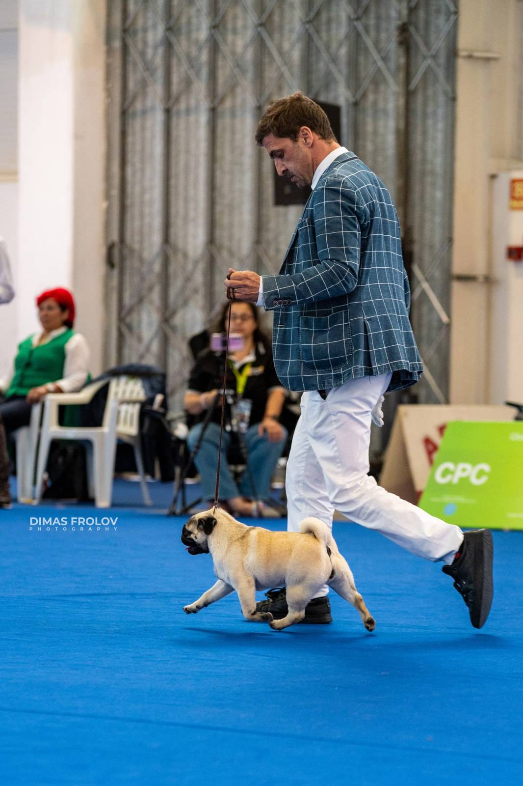 dogs Aveiro Dog Show 2025. บาทต่อภาพ 129653 (2025-07-20 13:03:00)