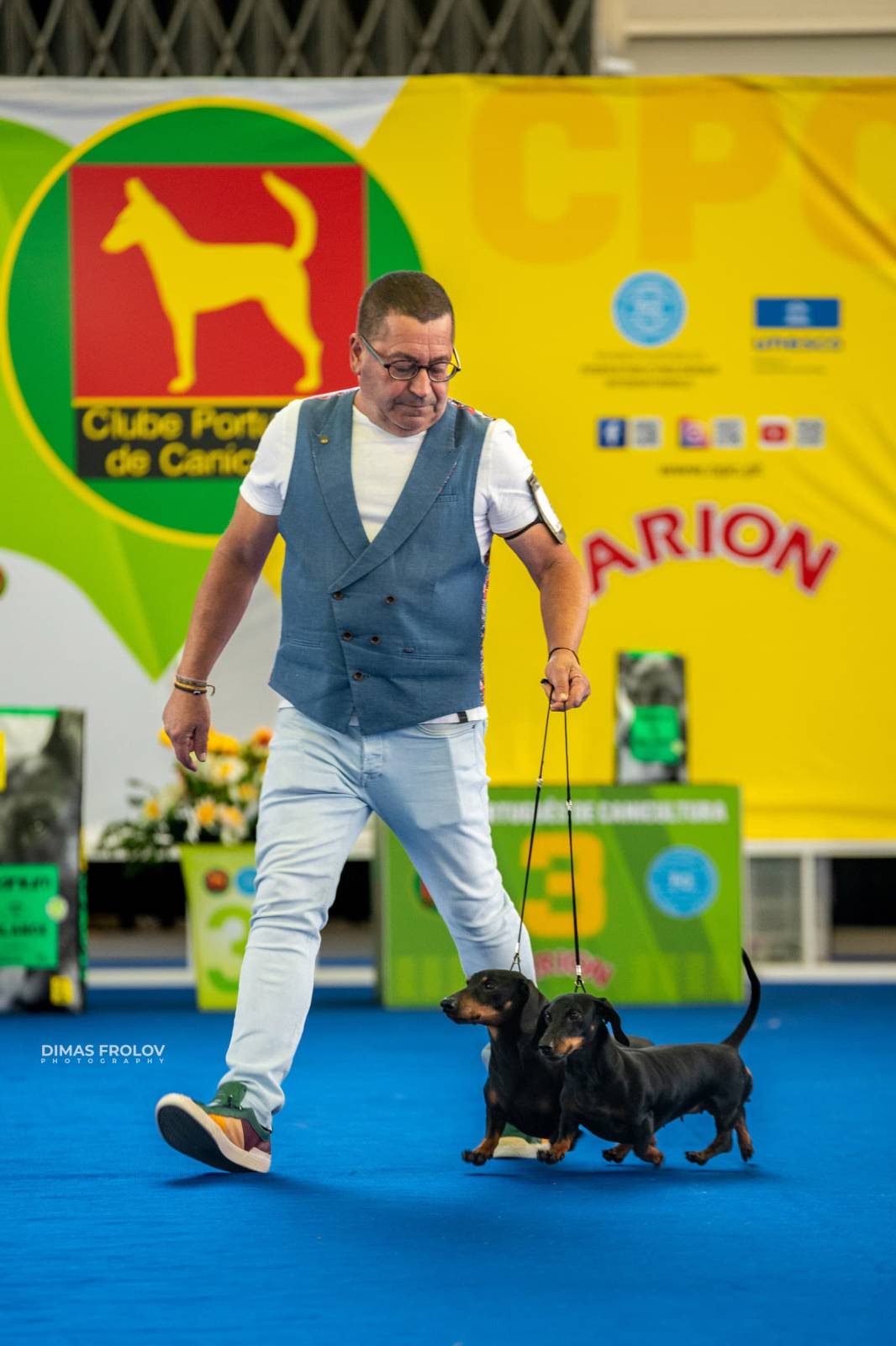 dogs Aveiro Dog Show 2025. บาทต่อภาพ 129667 (2025-07-20 13:03:01)