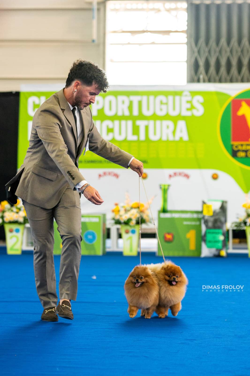 dogs Aveiro Dog Show 2025. บาทต่อภาพ 129665 (2025-07-20 13:03:01)