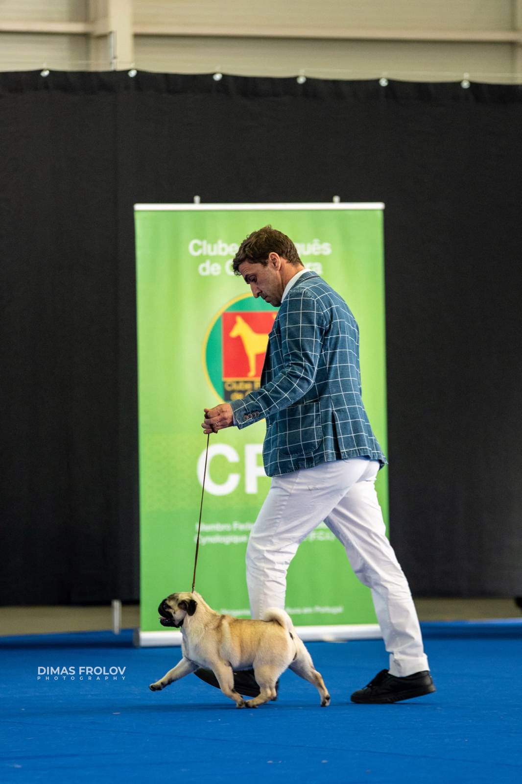 dogs Aveiro Dog Show 2025. บาทต่อภาพ 129690 (2025-07-20 13:03:03)