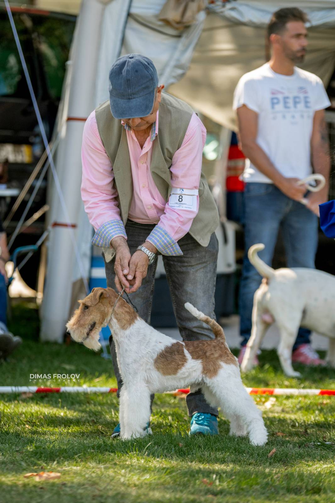 dogs Sintra Dogs Expo. July 2025. บาทต่อภาพ 130177 (2025-08-08 21:39:00)
