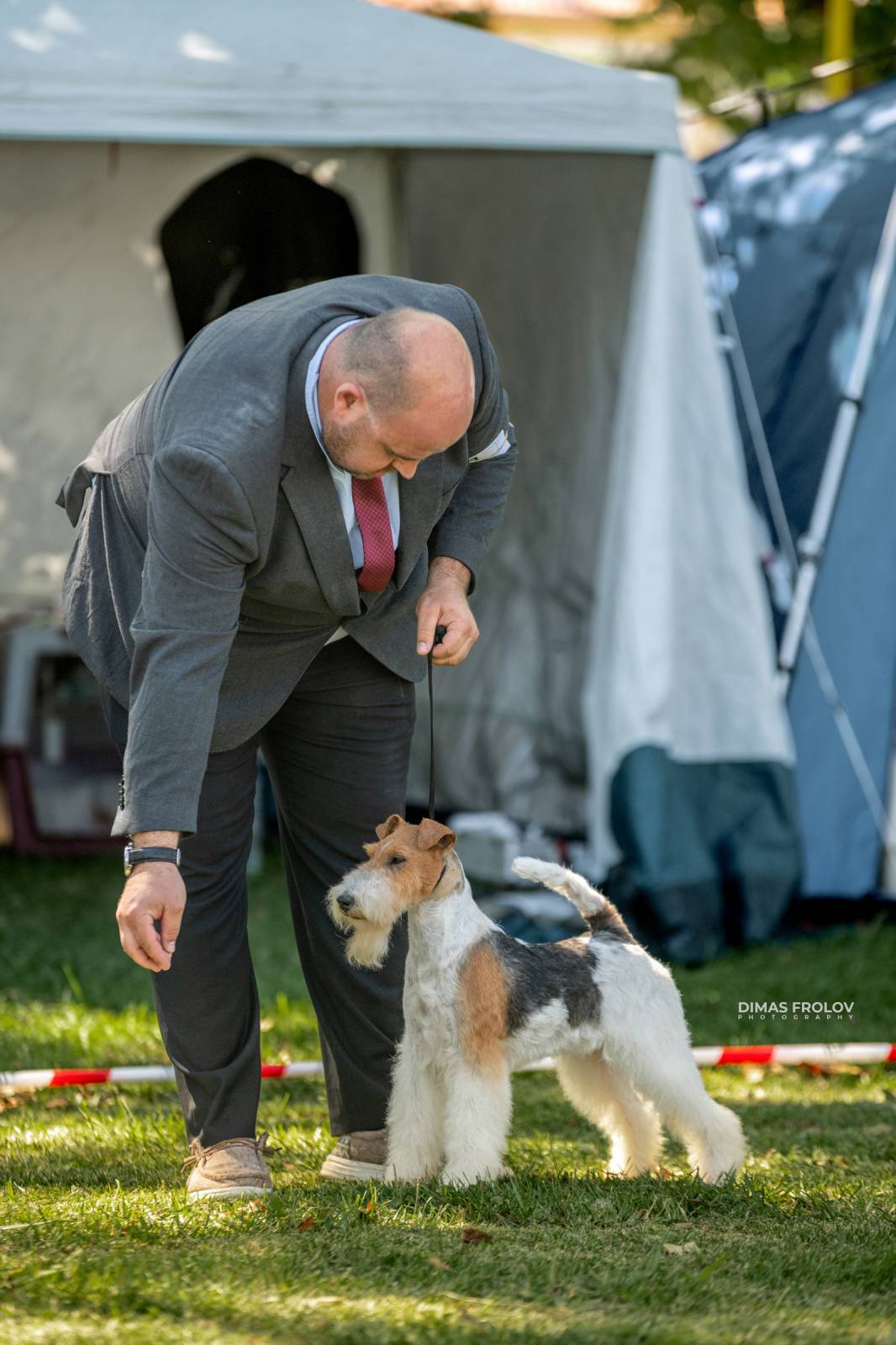 dogs Sintra Dogs Expo. July 2025. บาทต่อภาพ 130151 (2025-08-08 21:38:51)