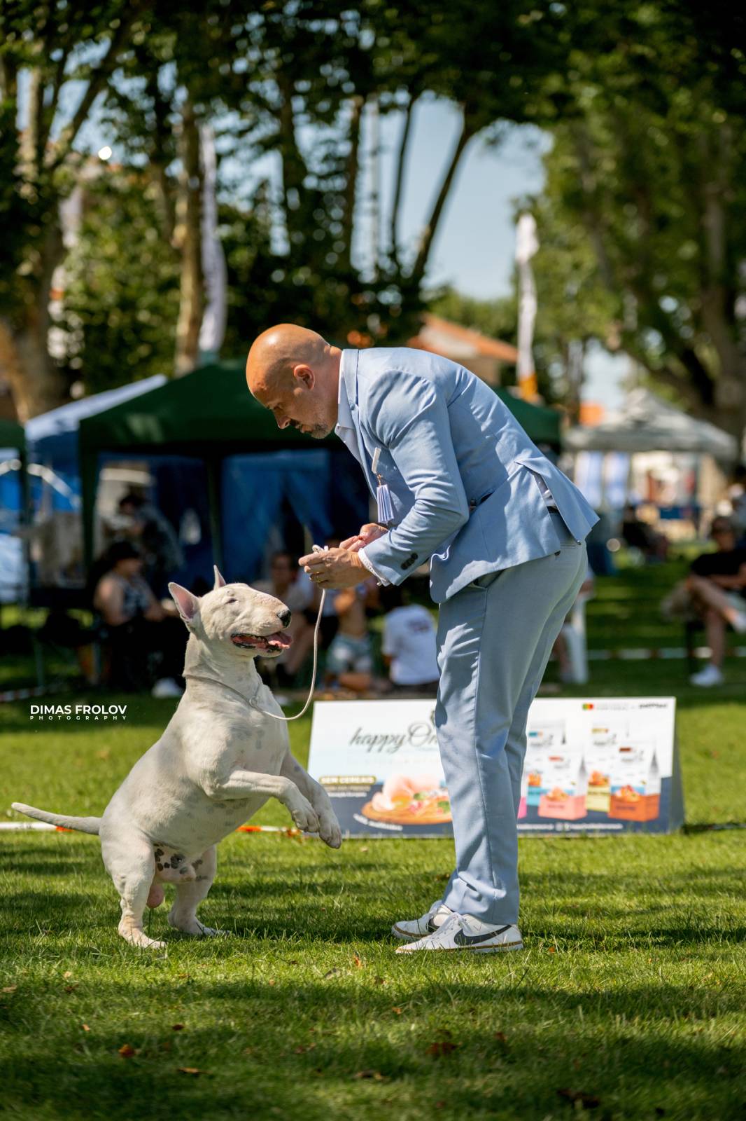 dogs Sintra Dogs Expo. July 2025. บาทต่อภาพ 130164 (2025-08-08 21:38:55)