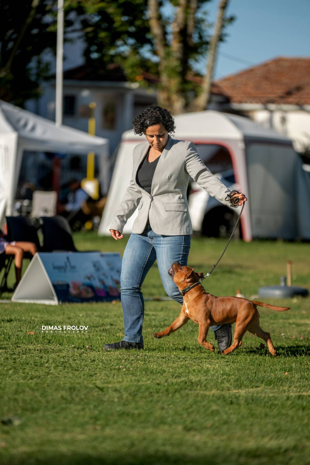 dogs Sintra Dogs Expo. July 2025. บาทต่อภาพ 130107 (2025-08-08 21:38:35)