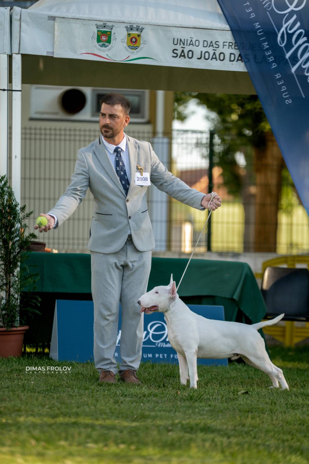 dogs Sintra Dogs Expo. July 2025. บาทต่อภาพ 130138 (2025-08-08 21:38:45)