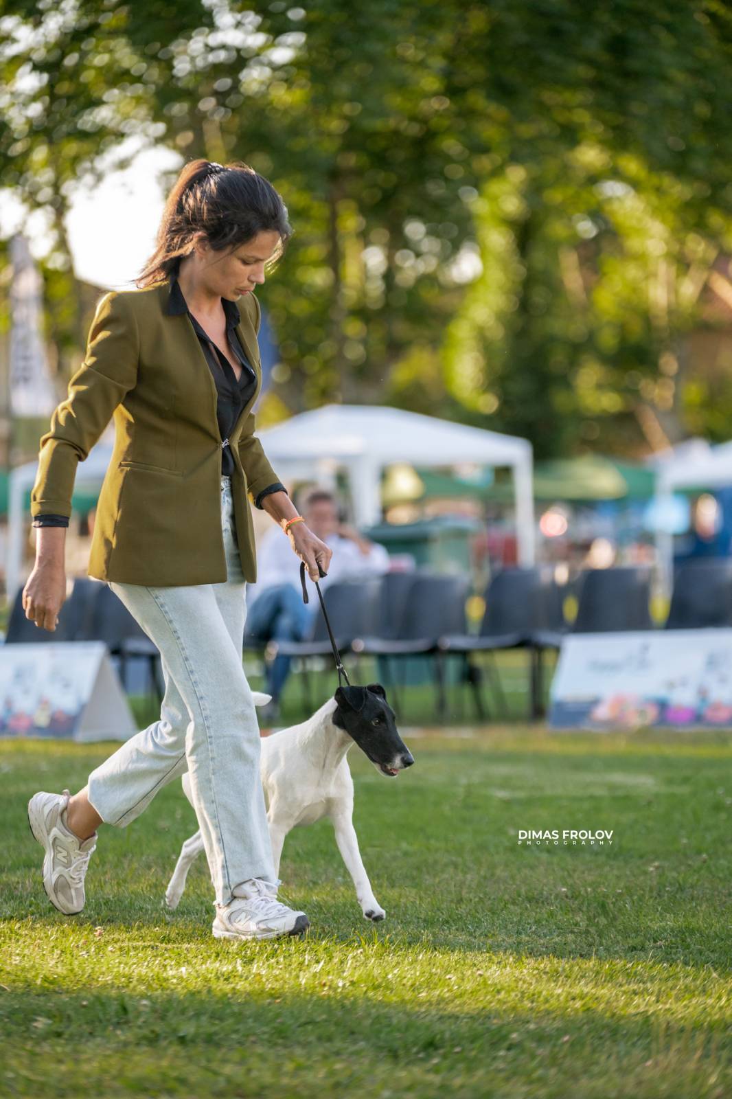dogs Sintra Dogs Expo. July 2025. บาทต่อภาพ 130165 (2025-08-08 21:38:56)