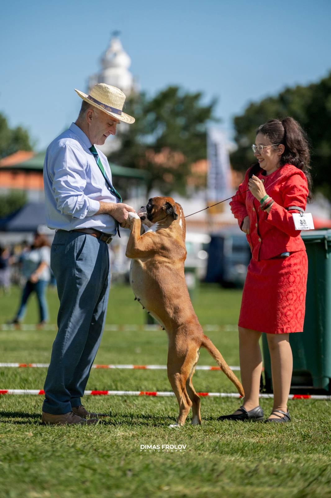 dogs Sintra Dogs Expo. July 2025. บาทต่อภาพ 130163 (2025-08-08 21:38:55)