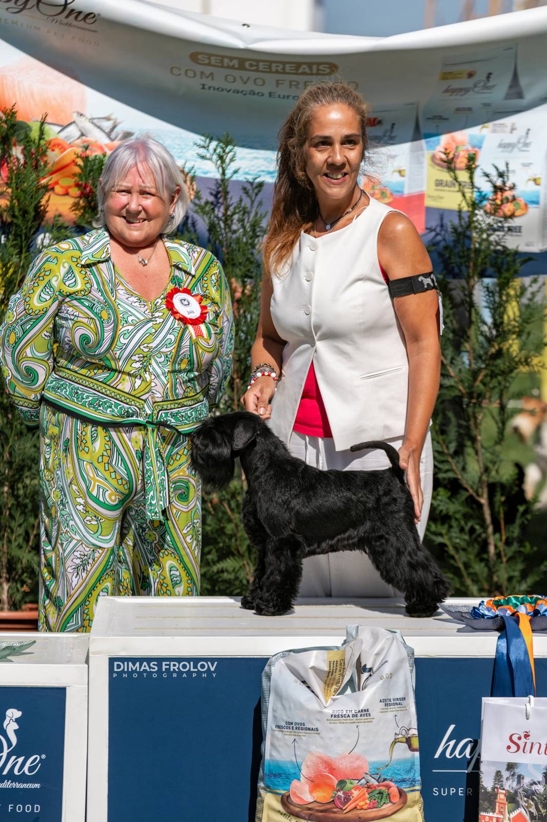 dogs Sintra Dogs Expo. July 2025. บาทต่อภาพ 130162 (2025-08-08 21:38:55)