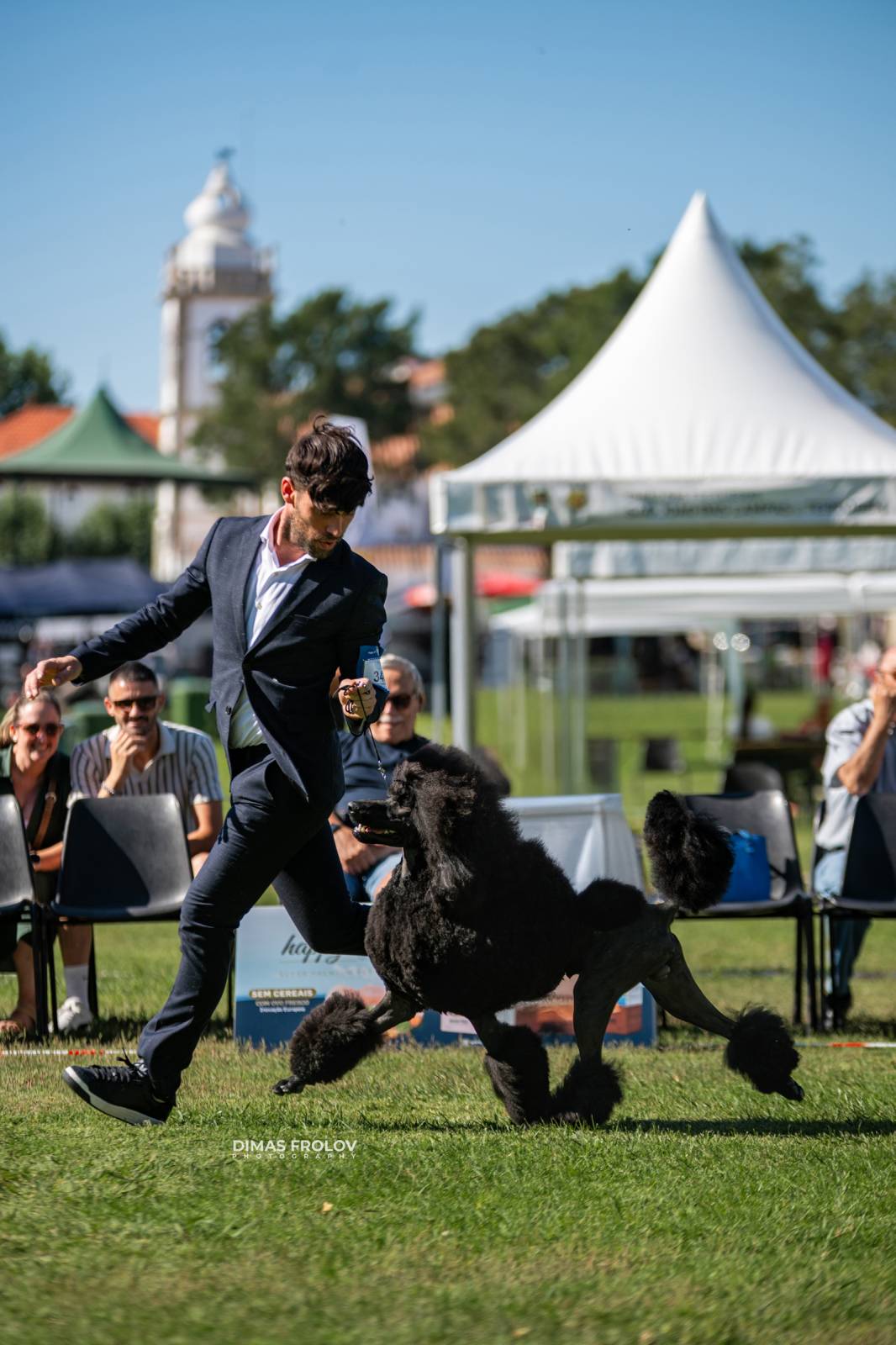 dogs Sintra Dogs Expo. July 2025. บาทต่อภาพ 130136 (2025-08-08 21:38:44)