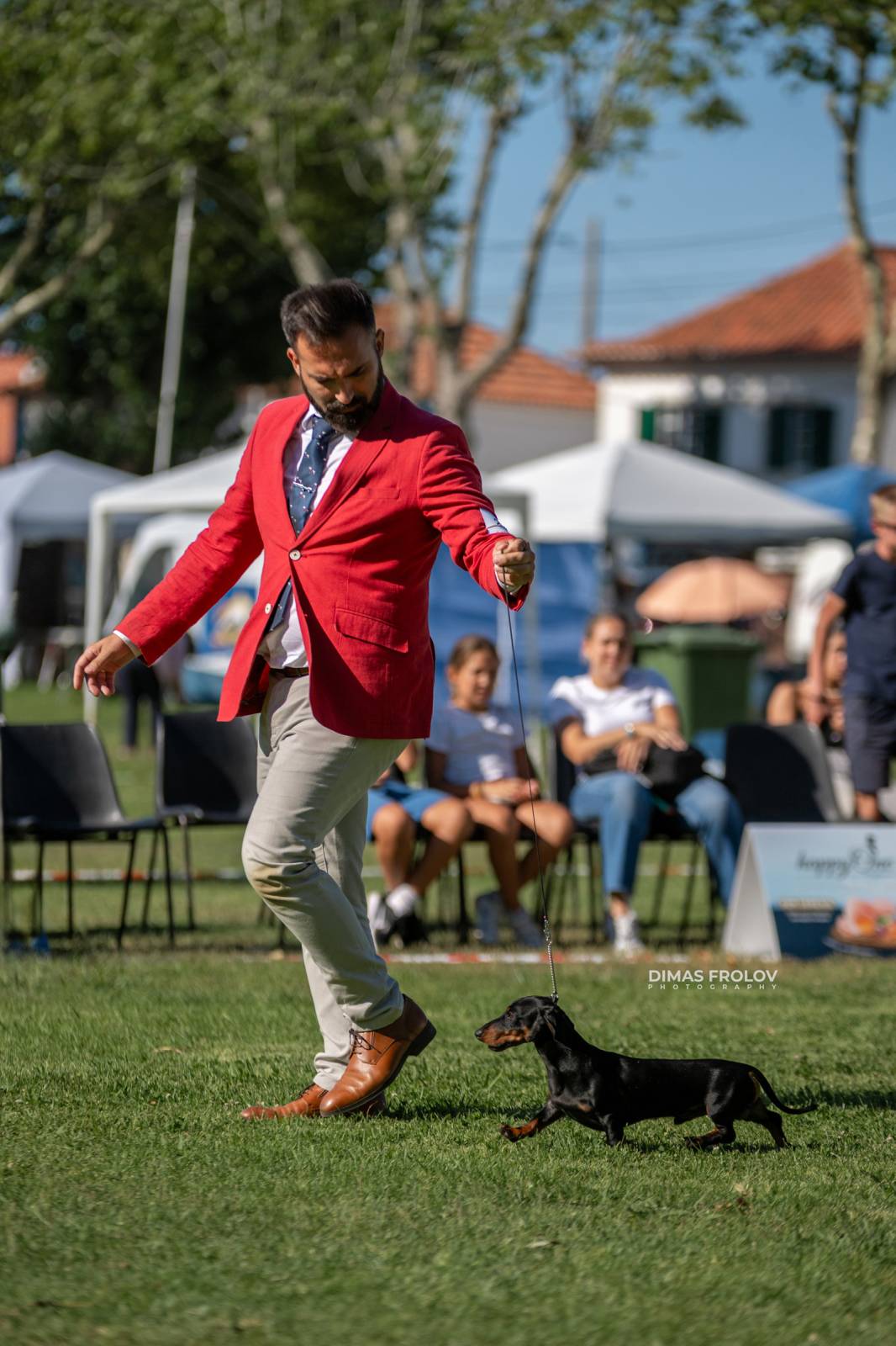 dogs Sintra Dogs Expo. July 2025. บาทต่อภาพ 130150 (2025-08-08 21:38:51)