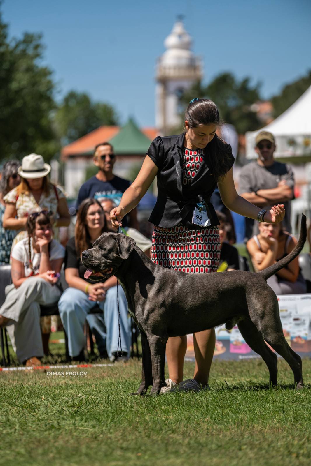 dogs Sintra Dogs Expo. July 2025. บาทต่อภาพ 130154 (2025-08-08 21:38:52)
