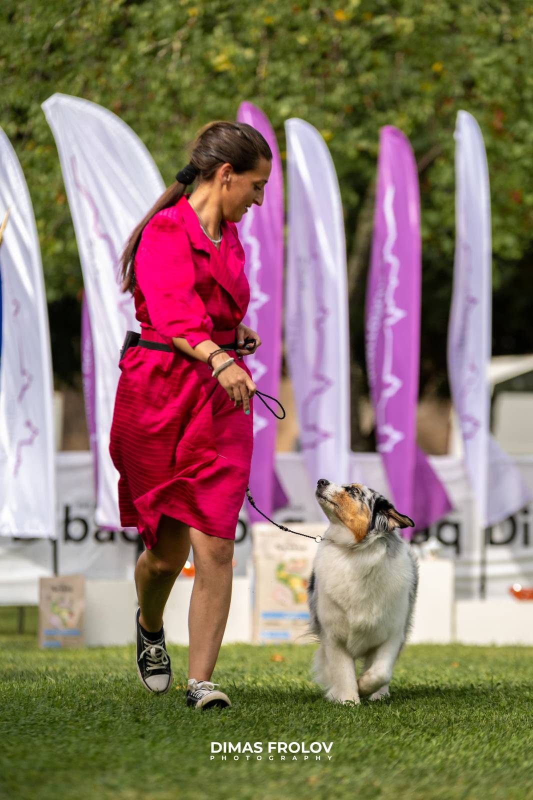 dogs Exposição Canina no Alentejo. foto 130356 (2025-09-12 11:39:28)