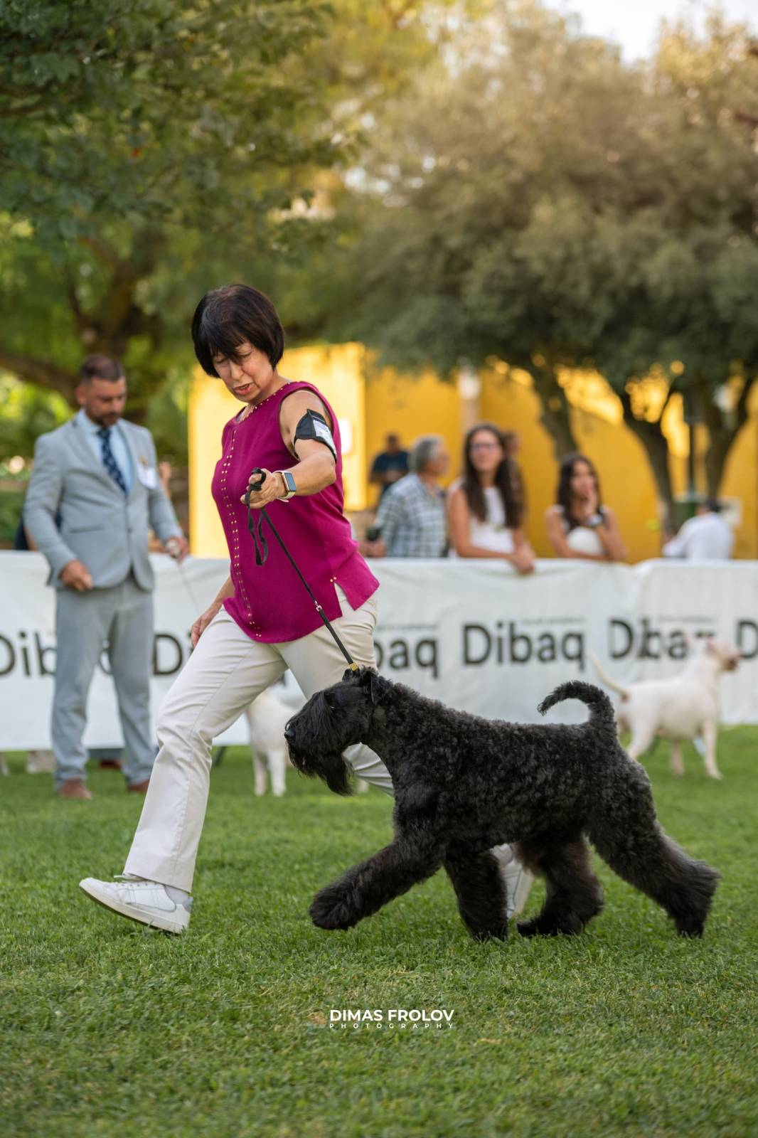dogs Exposição Canina no Alentejo. foto 130341 (2025-09-12 11:39:28)