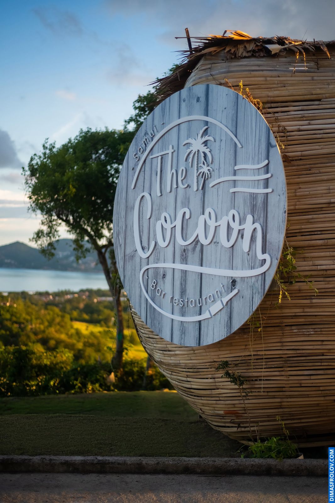 The Cocoon Bar & Restaurant. Photo 93874 (2023-05-03 22:09:07)