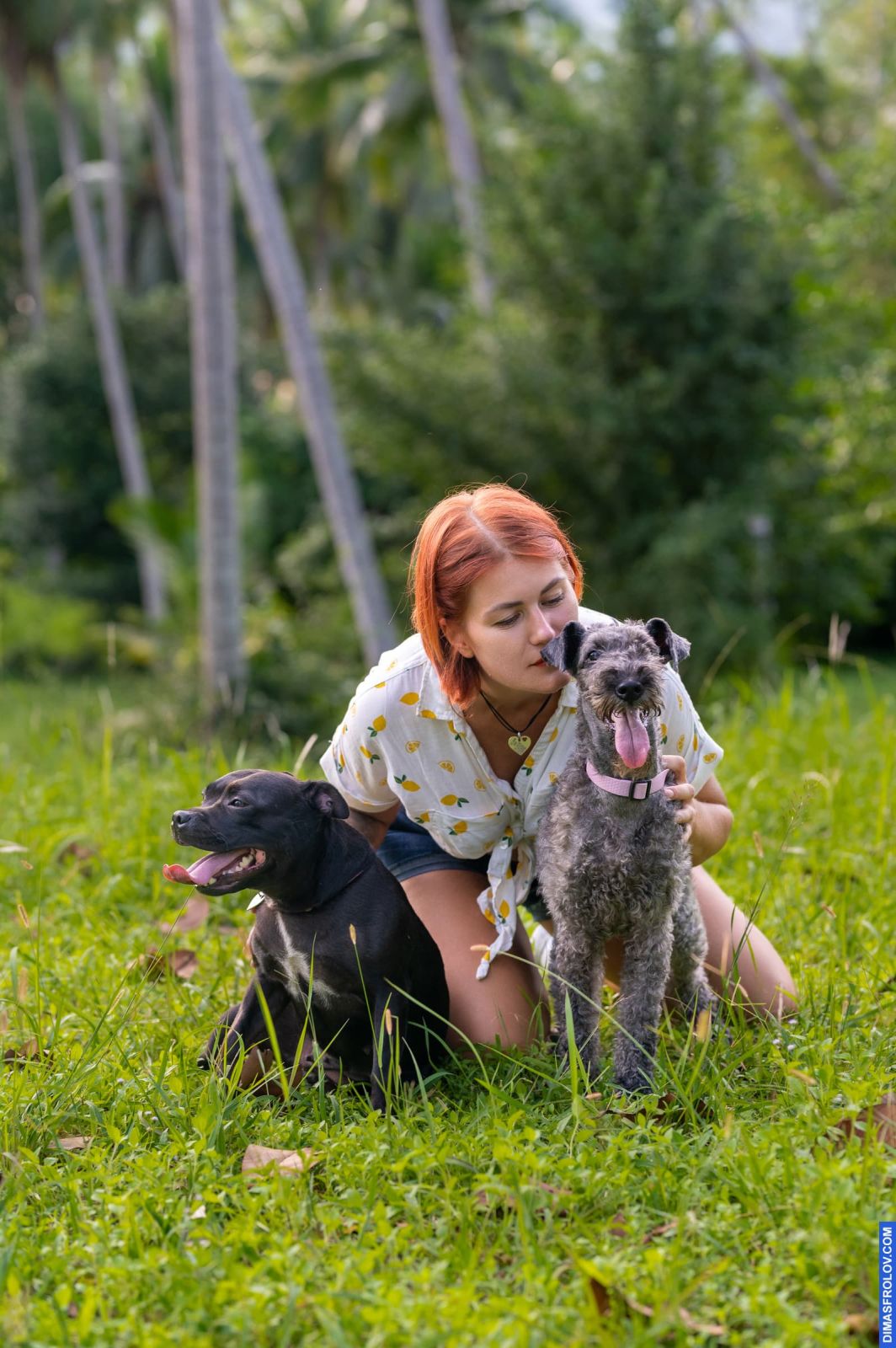 dogs Valeriia @EasyDogMe with Stuffy & Kerry Blue terrier. photo 117883 (2023-05-03 22:16:31)
