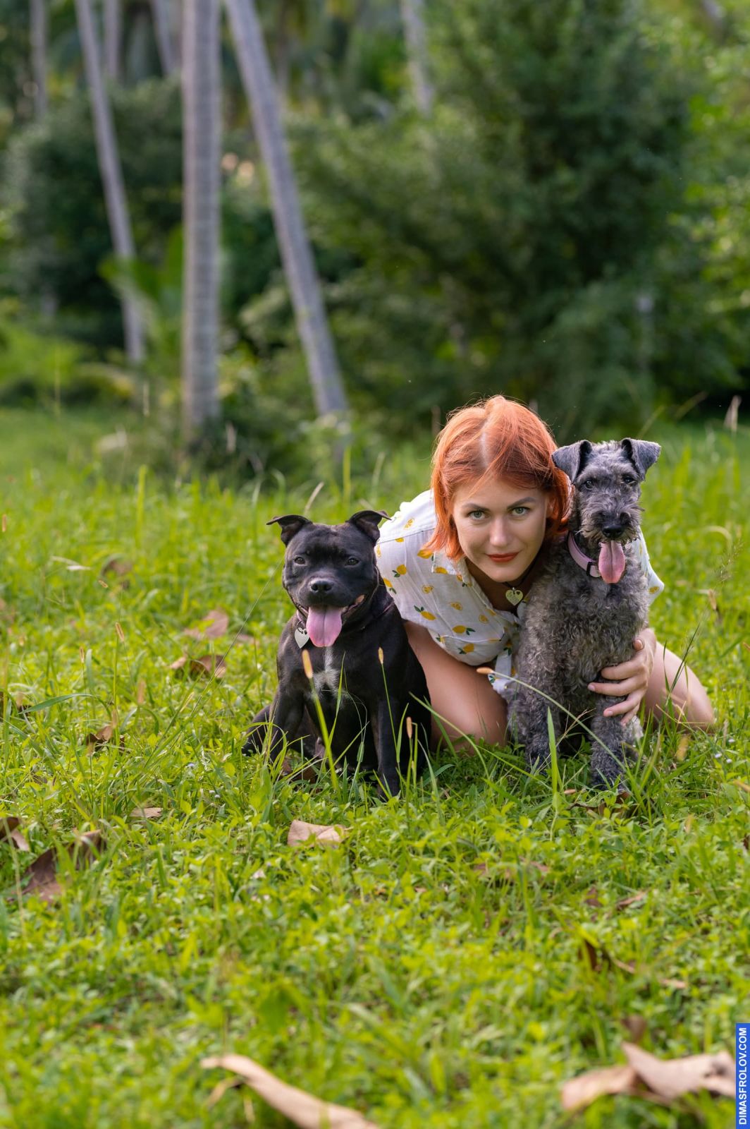 dogs Valeriia @EasyDogMe with Stuffy & Kerry Blue terrier. photo 117880 (2023-05-03 22:16:31)